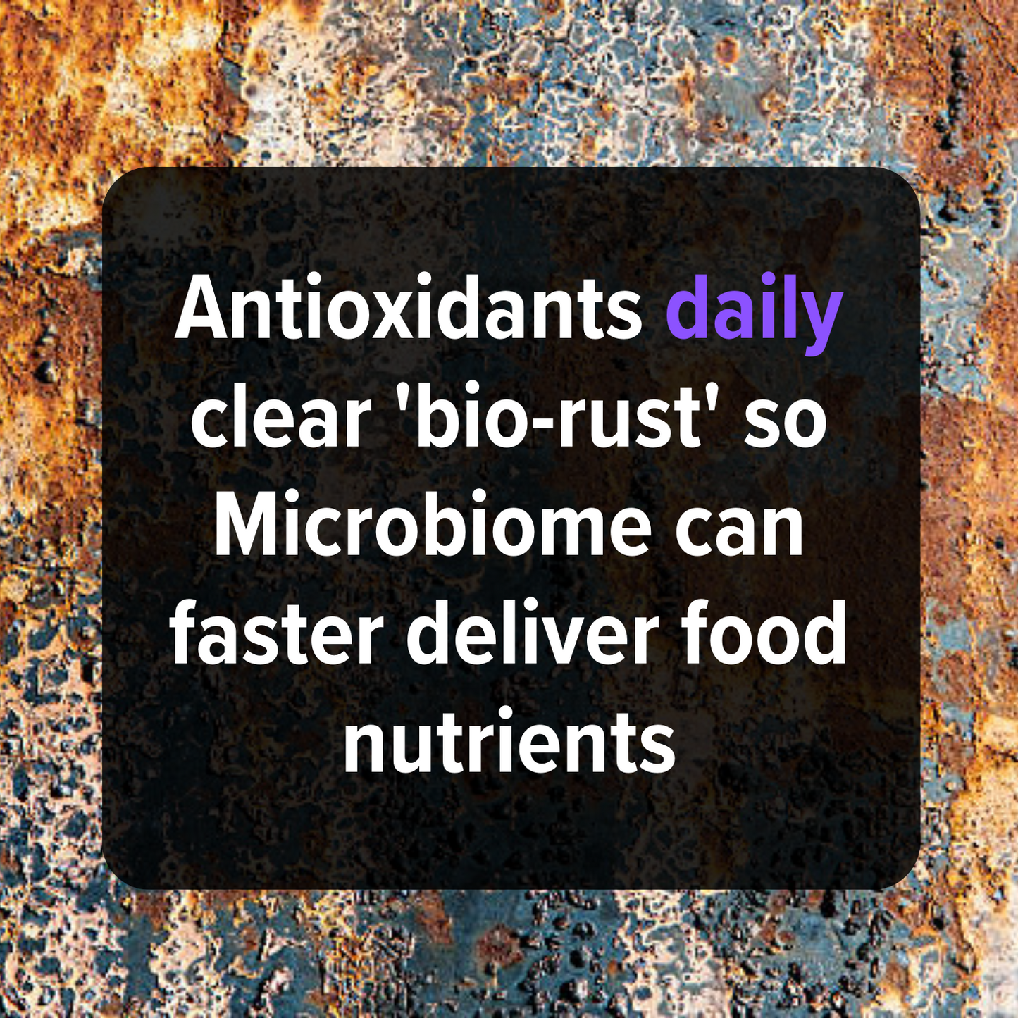 Oregano based Culinary Antioxidants Set
